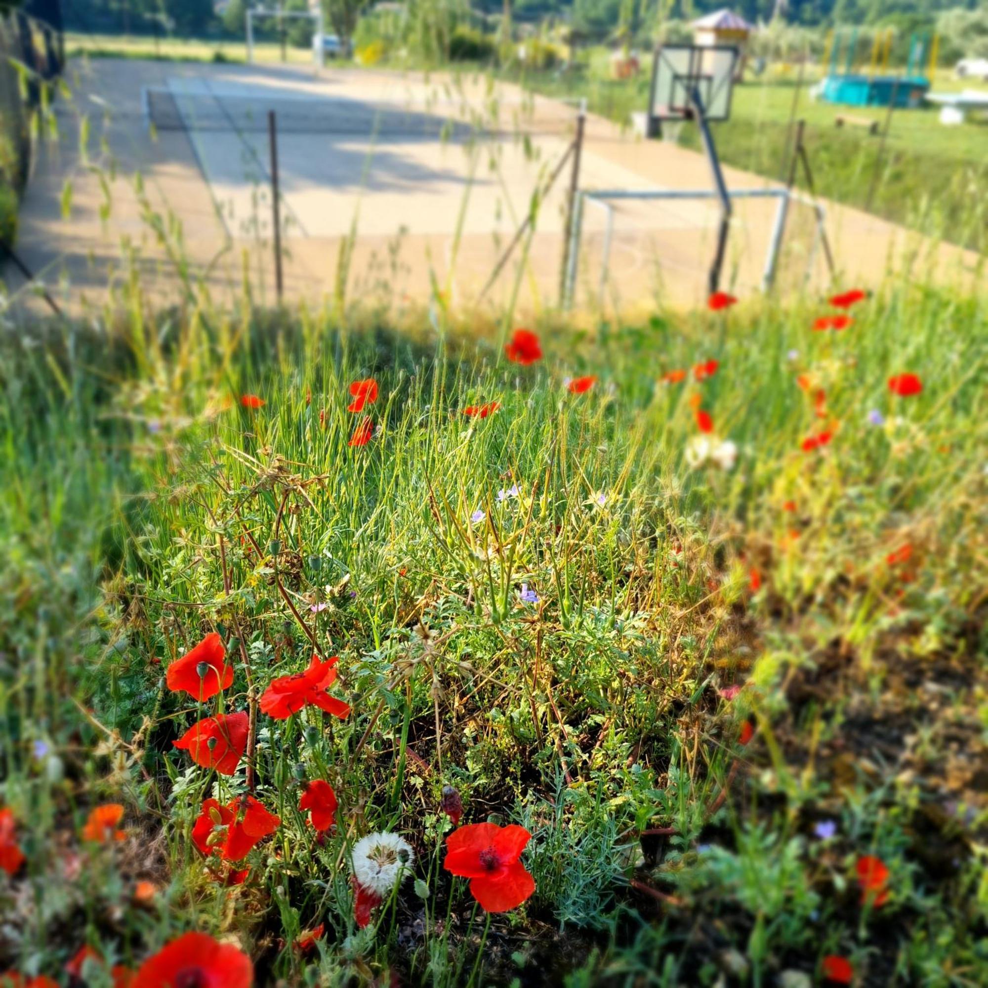 L'Oustaou Du Luberon Et Spa Villelaure Bagian luar foto
