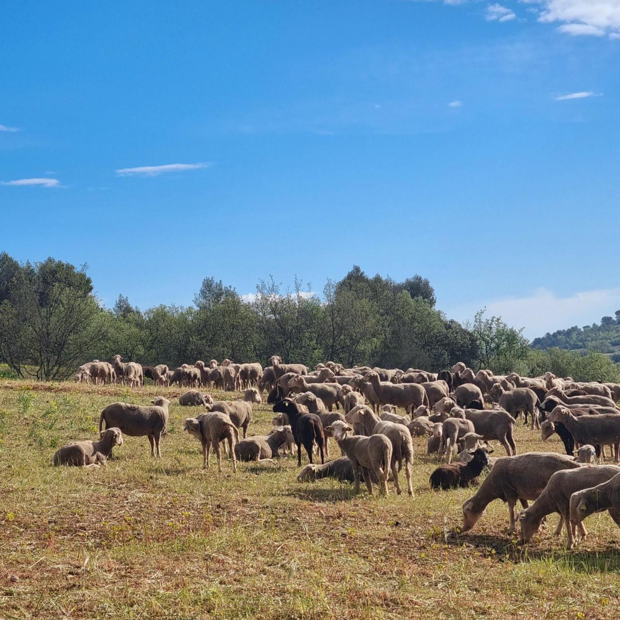 L'Oustaou Du Luberon Et Spa Villelaure Bagian luar foto