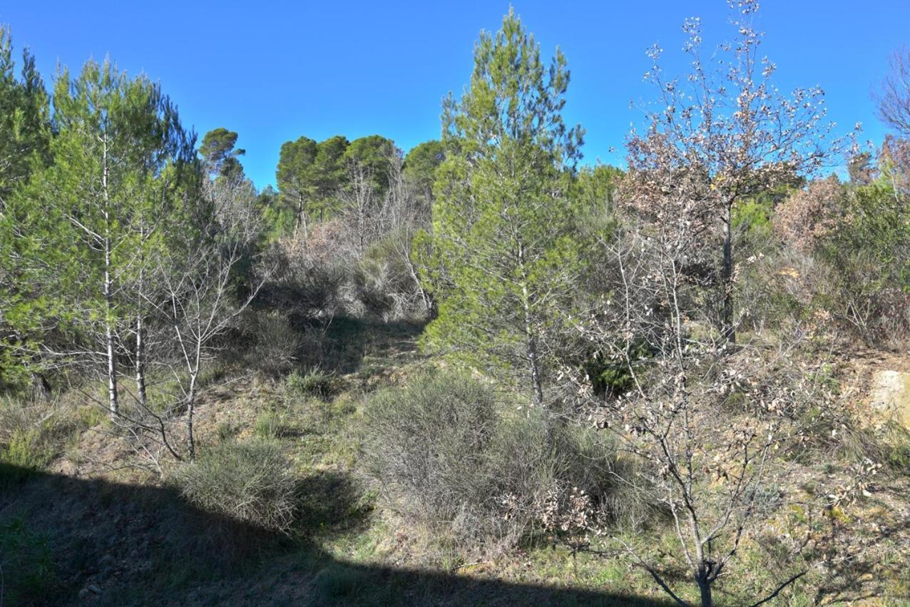 L'Oustaou Du Luberon Et Spa Villelaure Bagian luar foto