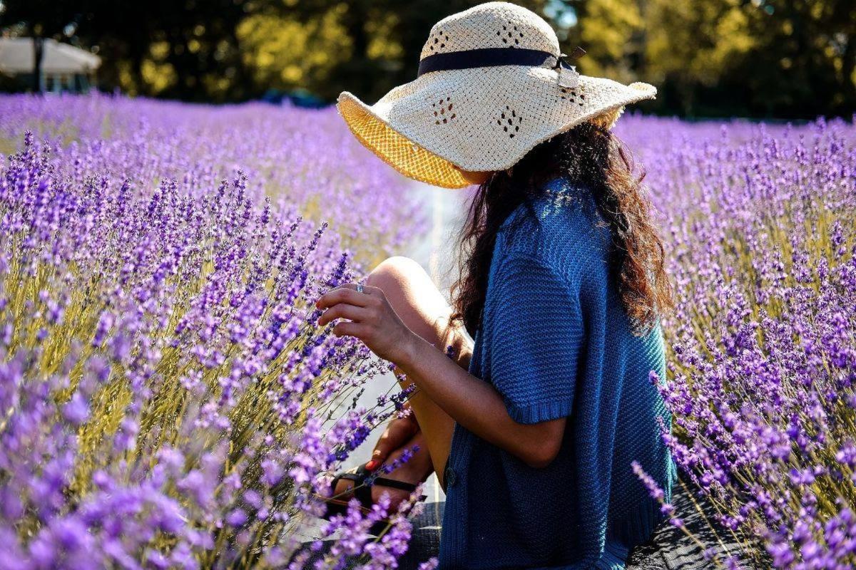 L'Oustaou Du Luberon Et Spa Villelaure Bagian luar foto