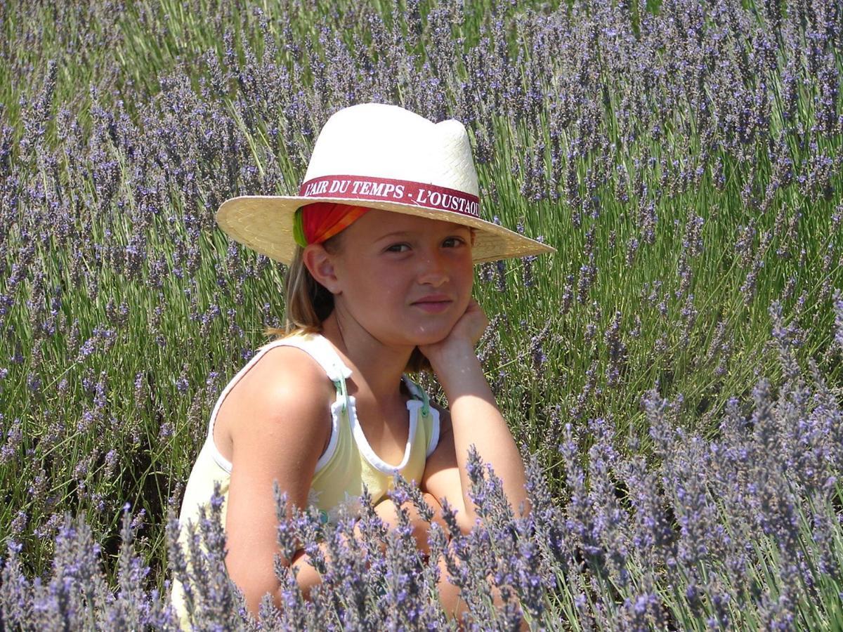 L'Oustaou Du Luberon Et Spa Villelaure Bagian luar foto