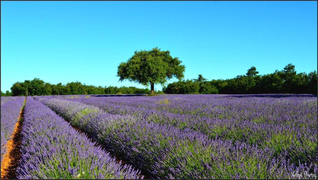 L'Oustaou Du Luberon Et Spa Villelaure Bagian luar foto